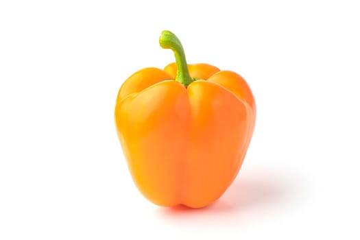 Bulgarian orange pepper on a white background close-up. isolate. High quality photo