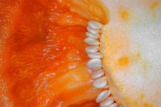 orange bell pepper in the macro section. High quality photo