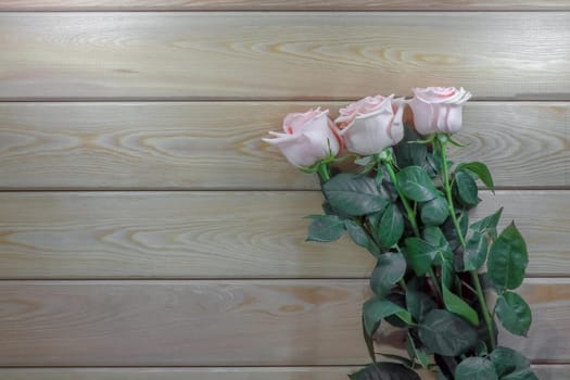 pink roses on a wooden background isolate . High quality photo