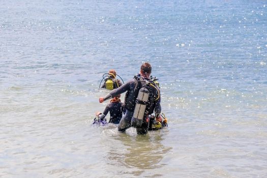 divers enter the water on the beach. High quality photo