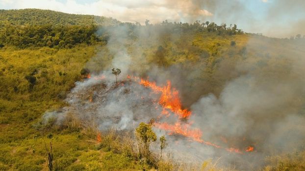 Aerial view forest fire on the slopes of hills and mountains. Forest and tropical jungle deforestation for human food farming and export. large flames from forest fire. Using fire to destroy natural habitat and causing large scale environmental damage in Asia. Coron, Philippines,Palawan, Busuanga.