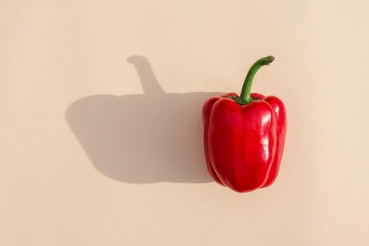 bell pepper on a colored background food pattern top view. High quality photo