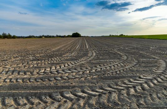 Tractor tracks on the harvested field