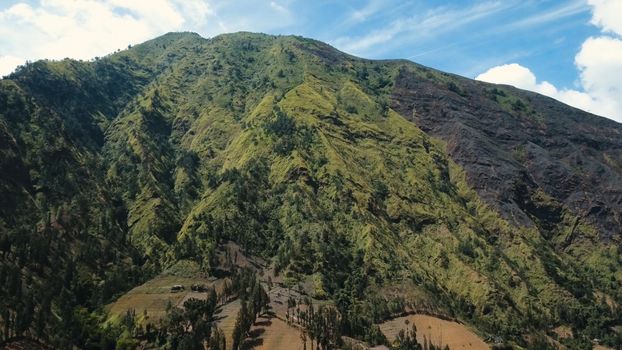 Aerial view Slopes of mountains covered with green tropical forest.Jawa island, Indonesia. High mountain forest with large trees and green grass.Mountain landscape.