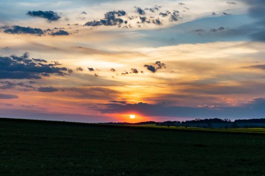 Green and yellow fields of colza at cloudy sunset