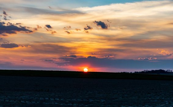 Green and yellow fields of colza at cloudy sunset