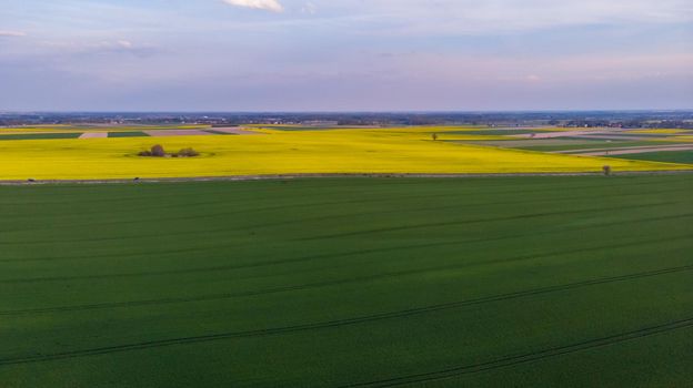 Aerial drone look to green and yellow fields at sunset