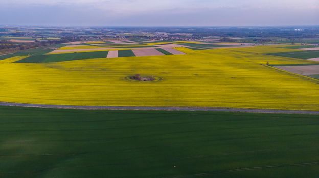 Aerial drone look to green and yellow fields at sunset