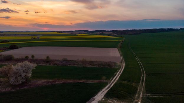 Aerial drone look to green and yellow fields at sunset