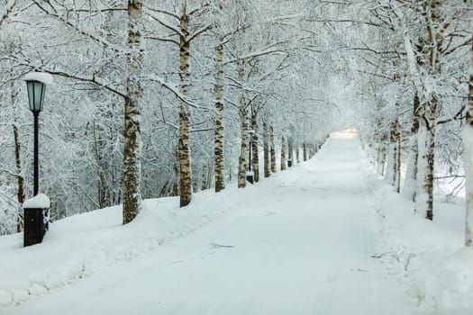 Winter Park, along the road there are snow-covered trees, on the edges of large snowdrifts.