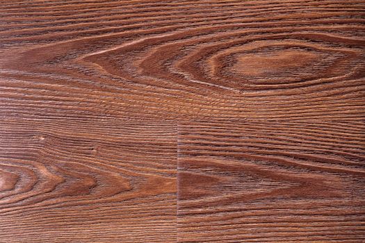 The background of the board is brown oak wood with a beautiful texture. Section close-up.