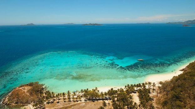 Aerial view of tropical beach on the island Malcapuya, Palawan, Philippines. Beautiful tropical island with sand beach, palm trees. Tropical landscape: beach with palm trees. Seascape: Ocean, sky, sea. Travel concept.