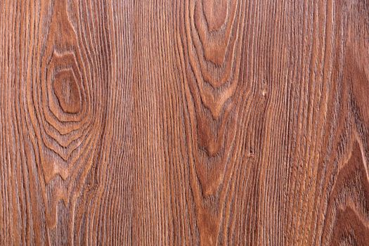 The background of the board is brown oak wood with a beautiful texture. Section close-up.