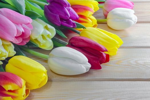 mix multi-colored tulips on a wooden background with a place for the inscription . High quality photo