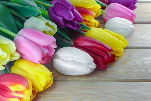 mix multi-colored tulips on a wooden background with a place for the inscription . High quality photo