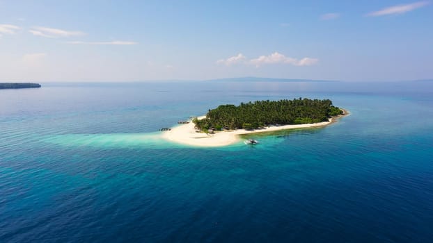 Island with a tropical beach and turquoise lagoons. White sand beach with coconut trees, top view. Digyo Island, Philippines. Summer vacation and tropical beach concept.