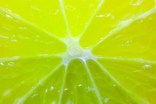 lime cut into the whole frame macro as background. High quality photo