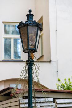 Luxurious antique street lamp made of black metal. Refined style, forging.