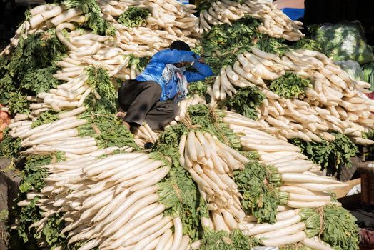 Vegetable seller shading from and sleeping in the afternoon sun on a heap of radish at a wholesale vegetable market in Chandigarh, India.