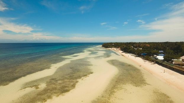 Aerial view of tropical beach on the island Bohol, Anda area, Philippines. Beautiful tropical island with sand beach, palm trees. Tropical landscape: beach with palm trees. Seascape: Ocean, sky, sea. Travel concept.