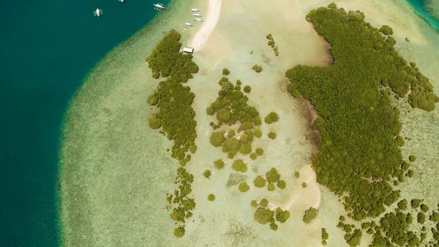 Luli island and sandy beach with tourists, sand bar surrounded by coral reef and blue sea in the honda bay, aerial drone. Tropical island and coral reef. Summer and travel vacation concept, Philippines, Palawan