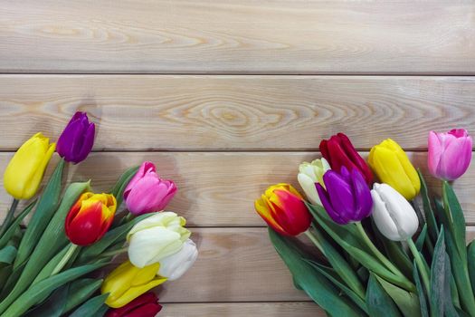 mix multi-colored tulips on a wooden background with a place for the inscription . High quality photo