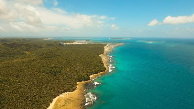Aerial view of tropical beach on the island Siargao, Philippines. Beautiful tropical island with sand beach, palm trees. Tropical landscape: beach with palm trees. Seascape: Ocean, sky, sea . Philippines.