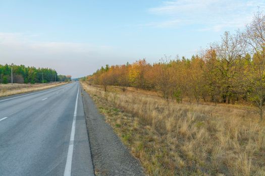 autumn forest landscape with blue sky background. High quality photo