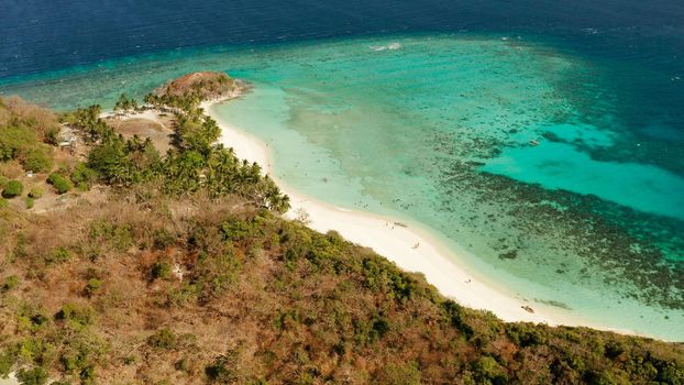 aerial view sandy beach on tropical island with palm trees and clear blue water. Malcapuya, Philippines, Palawan. Tropical landscape with blue lagoon, coral reef