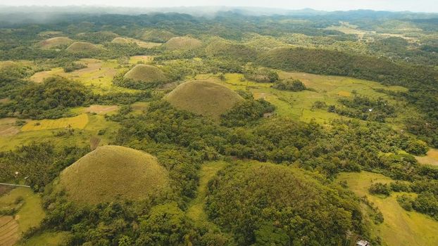 Amazingly shaped Chocolate hills on sunny day on Bohol island, Philippines. Aerial view Chocolate Hills in Bohol, Philippines are earth mounds scattered all over the town of Carmen. Travel concept.