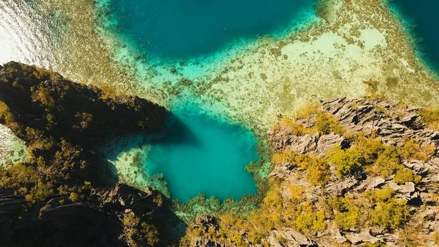 Aerial view: Twin Lagoon with blue, azure water in the middle of small islands and rocks. Beach, tropical island, sea bay and lagoon, mountains with forest, Palawan, Coron. Busuanga. Seascape, tropical landscape. Philippines. Travel concept