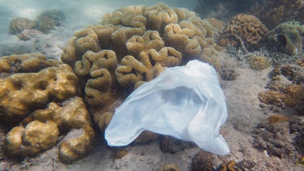 Environmental Problem - plastic trash on a coral reef. A plastic bag on a coral reef. Ecological problem.
