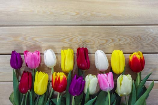 mix multi-colored tulips on a wooden background with a place for the inscription . High quality photo