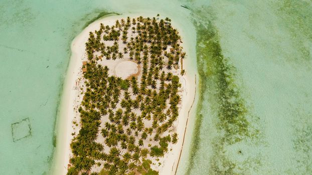 Tropical island with beautiful beach, palm trees and turquoise water view from above. Onok Island, Balabac, Philippines. Summer and travel vacation concept