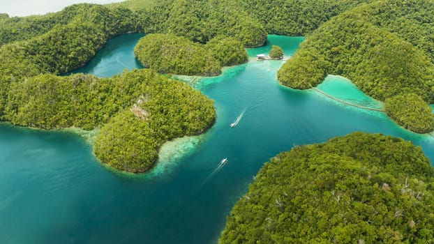 Aerial view of Sugba lagoon. Beautiful landscape with blue sea lagoon, National Park, Siargao Island, Philippines. Summer and travel vacation concept.