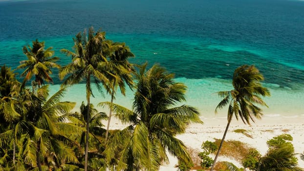 Aerial view of sandy beach on a tropical island with palm trees by coral reef atoll. Patongong Island with sandy beach. Summer and travel vacation concept.
