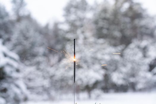 Winter landscape with sparkler on foreground of the snow in the pine forest. Landscape Beautiful in nature Bengal light