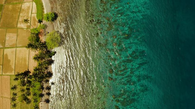Landscape with coconut trees and turquoise lagoon, view from above. Seascape with palm trees and a pebbly beach, Philippines, Camiguin,aerial view.