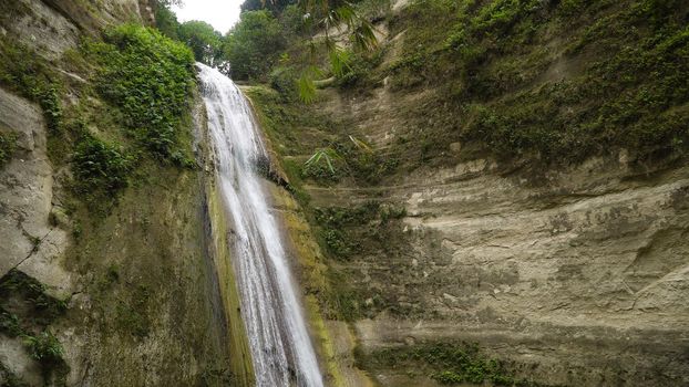 Beautiful waterfall in green forest. Tropical Dao Falls in mountain jungle, Philippines, Cebu. Waterfall in the tropical forest.