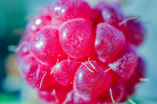 berry raspberry macro as a beautiful background . High quality photo