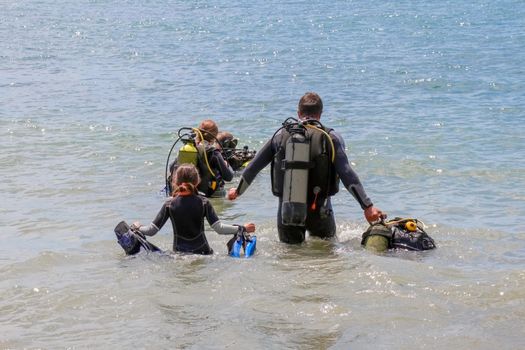 divers enter the water on the beach. High quality photo