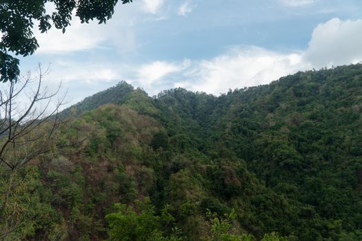 Aerial view mountains are covered tropical forest. Landscape, mountains, rainforest, trees. Bali,Indonesia Travel concept
