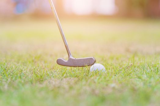 Closeup golf club and a white golf ball in the grass ready to the driver in tournament, outdoor sport