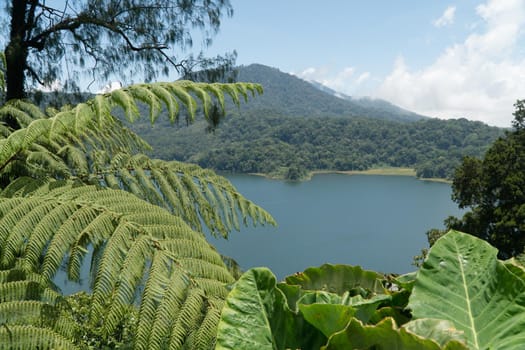 Lake Buyan,caldera lake at Bali. Beautiful lake with turquoise water in the mountains of the island of Bali. Landscape, lake among mountains, sky, clouds.