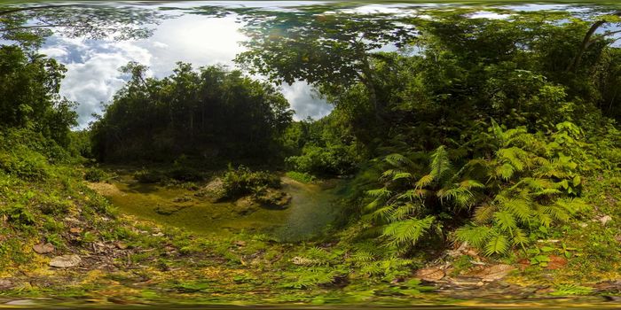 River in a green rainforest. River in the forest, jungle. Philippines, Bohol. 360VR Video. 8k video.