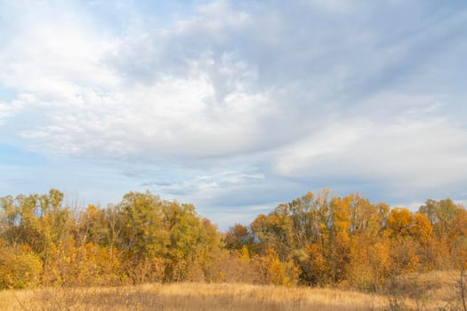 autumn forest landscape with blue sky background. High quality photo