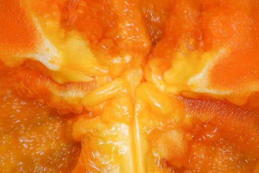 orange bell pepper in the macro section . High quality photo