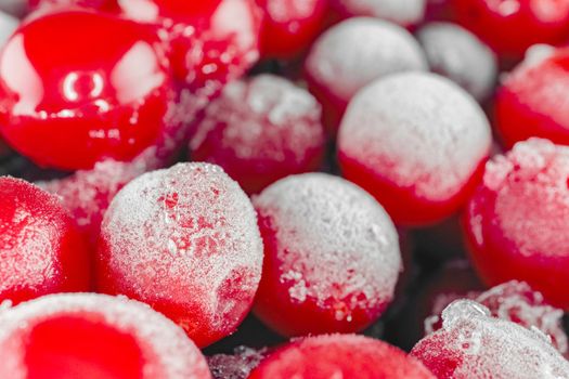 red viburnum berries frozen for the entire frame macro . High quality photo