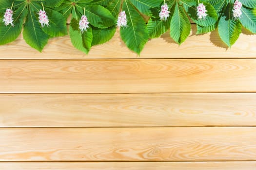 chestnut leaves on a wooden background top view. High quality photo