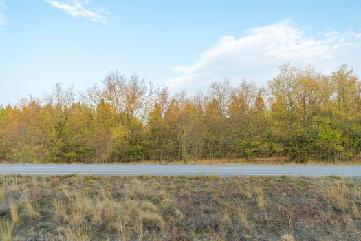 autumn forest landscape with blue sky background. High quality photo